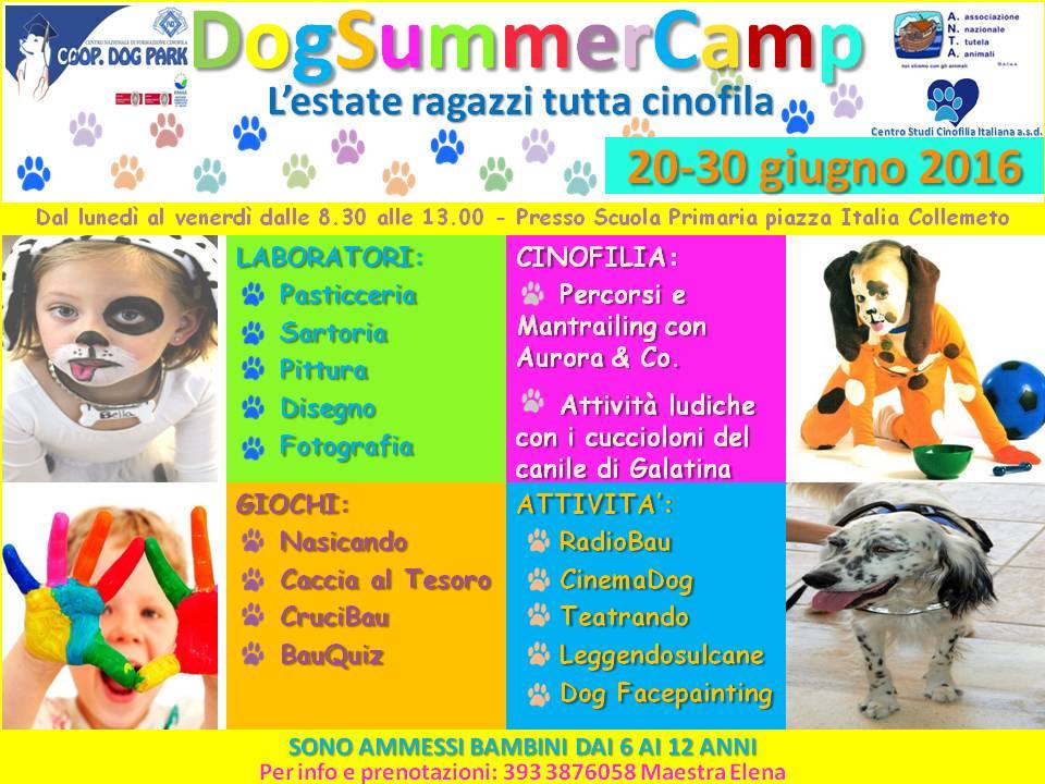 Dog Summer Camp